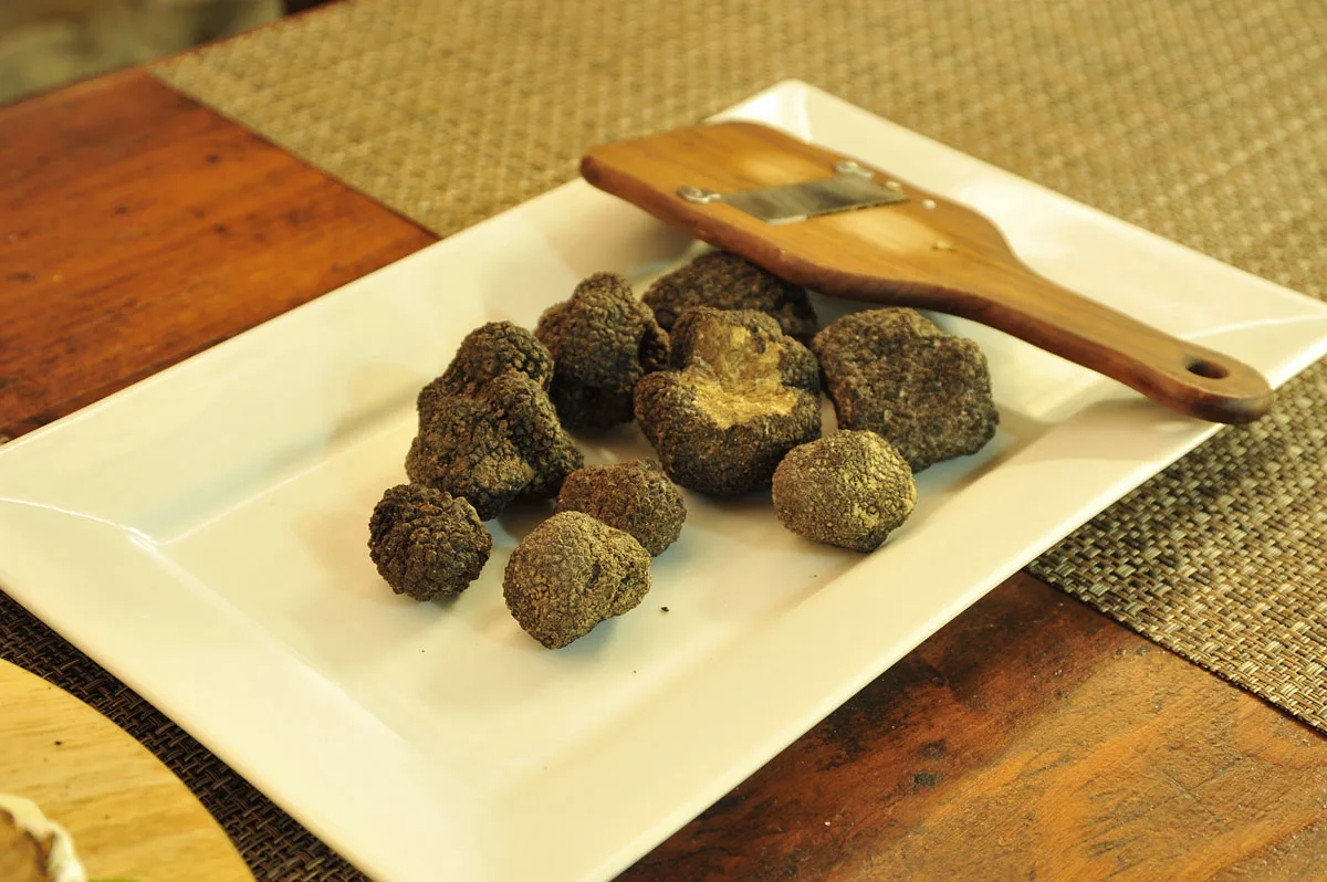 Truffles and a truffle slicer, ready for the kitchen.